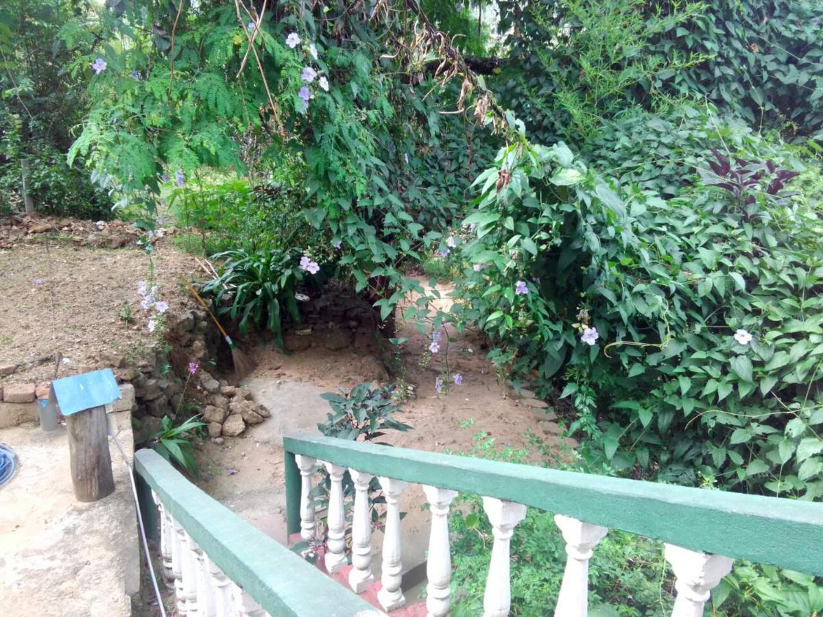 Green View Ella Εξωτερικό φωτογραφία