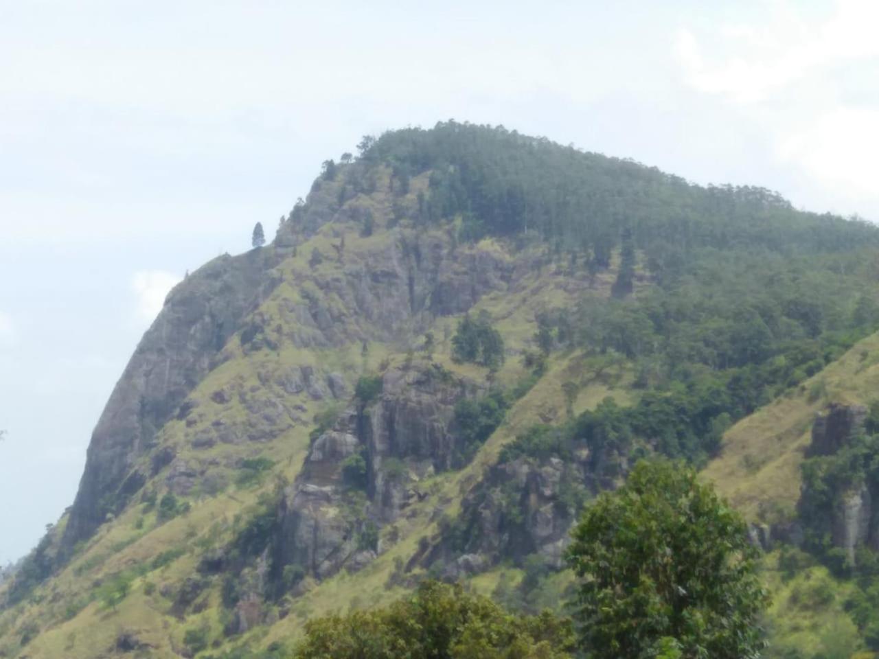 Green View Ella Εξωτερικό φωτογραφία